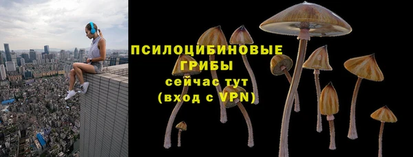 apvp Мегион
