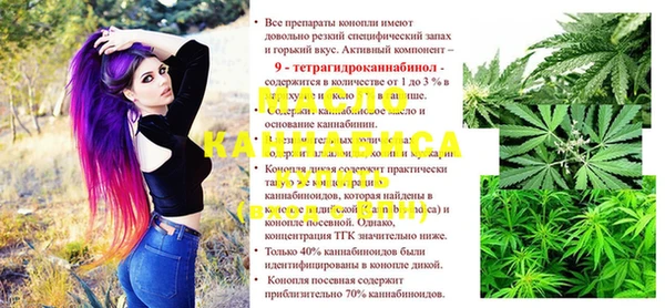 мдпв Магас