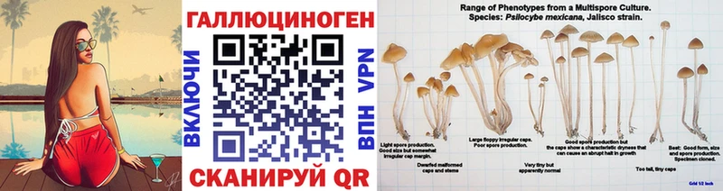 kraken зеркало  Новоржев  Псилоцибиновые грибы мухоморы 