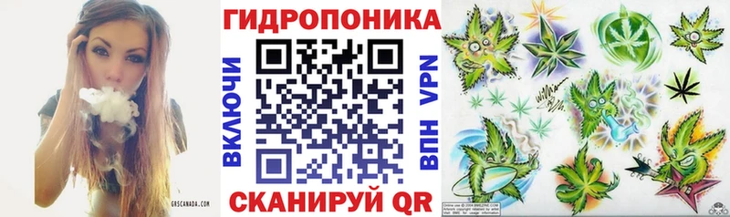 Марихуана семена  Новоржев 